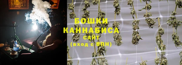 мдпв Новозыбков
