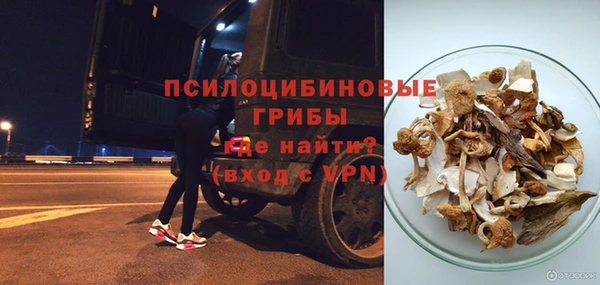 а пвп мука Няндома