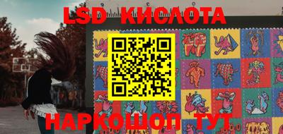крисы Ирбит