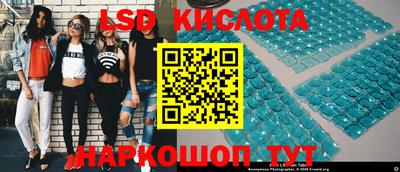 крисы Ирбит