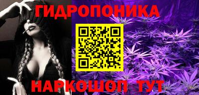 индика Берёзовский