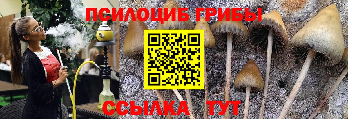 Галлюциногенные грибы мухоморы Улан-Удэ