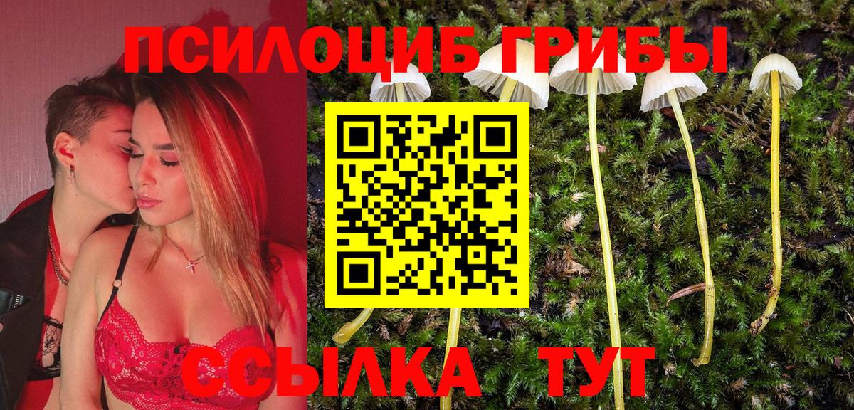 Галлюциногенные грибы Magic Shrooms  Улан-Удэ  Галлюциногенные грибы Magic Shrooms 