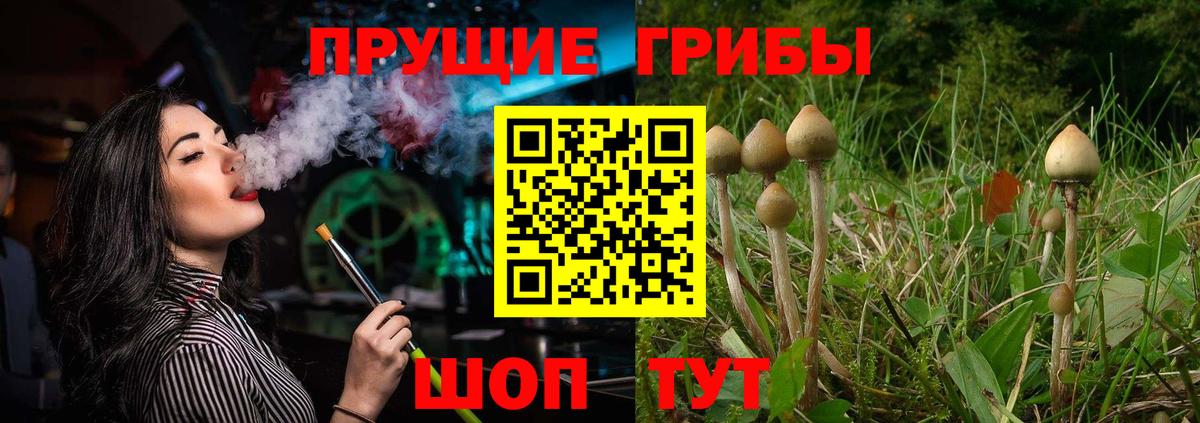 Галлюциногенные грибы мицелий  Вход с VPN  Улан-Удэ  Псилоцибиновые грибы ЛСД 